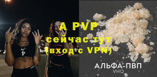 молекула духа Гатчина