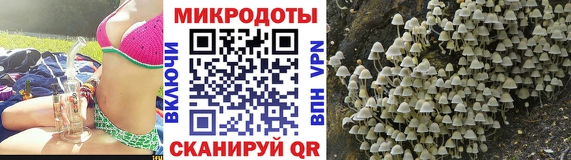 Псилоцибиновые грибы MAGIC MUSHROOMS  где купить наркотик  Канск 